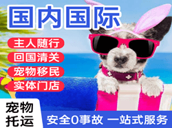 株洲芦淞航空快递国际宠物托运 【国